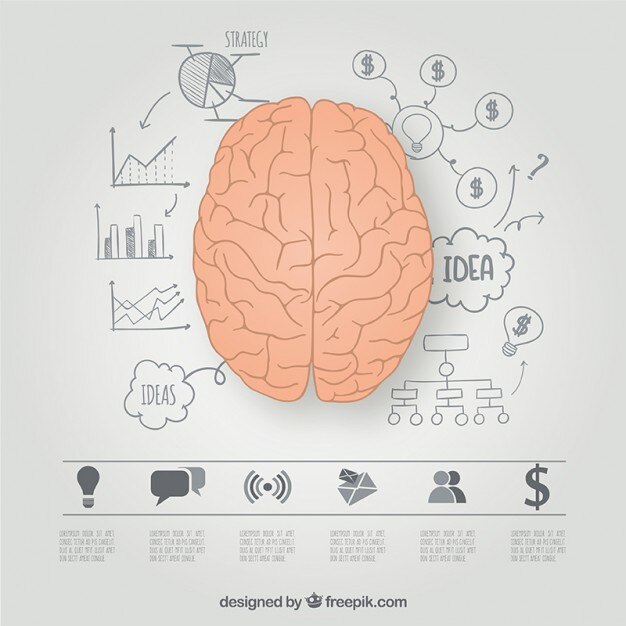  Simple brain outline labeled CRM, representing the central knowledge hub